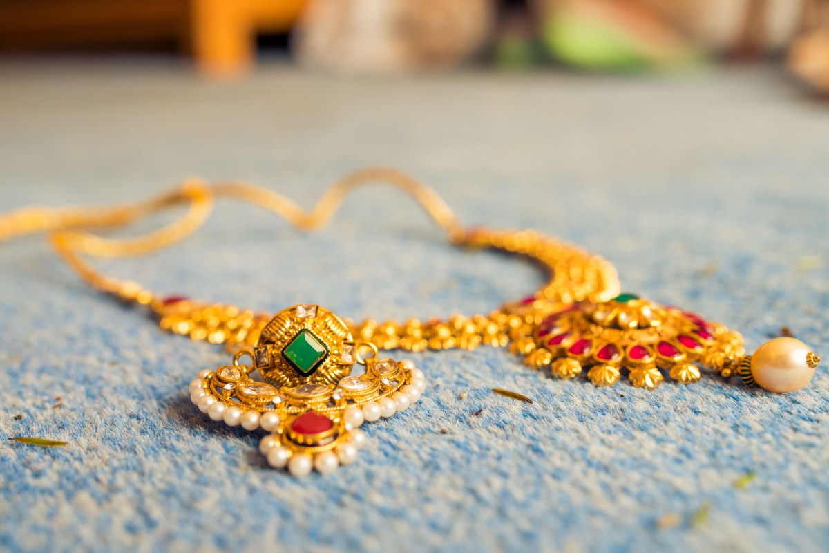 varnasrama dharma system